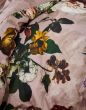ESSENZA Fleur Woodrose Bettwäsche 155 x 220 cm