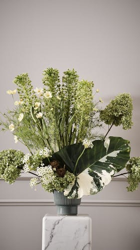 Screensaver Vase mit grünen Blumen